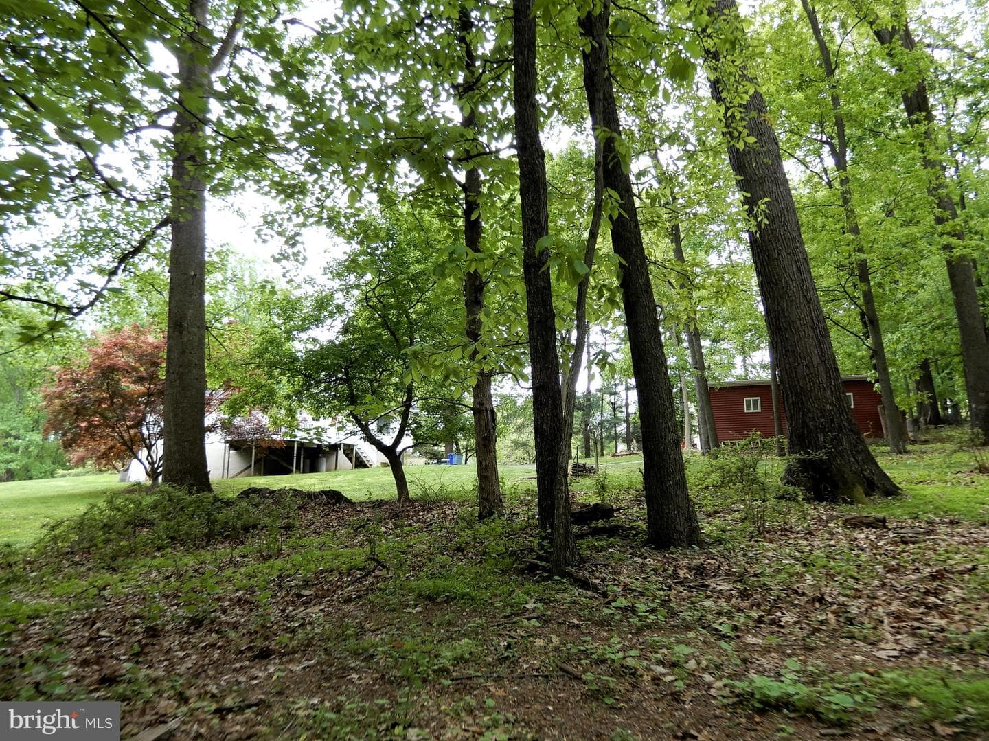 14170 Monticello Drive photo 20
