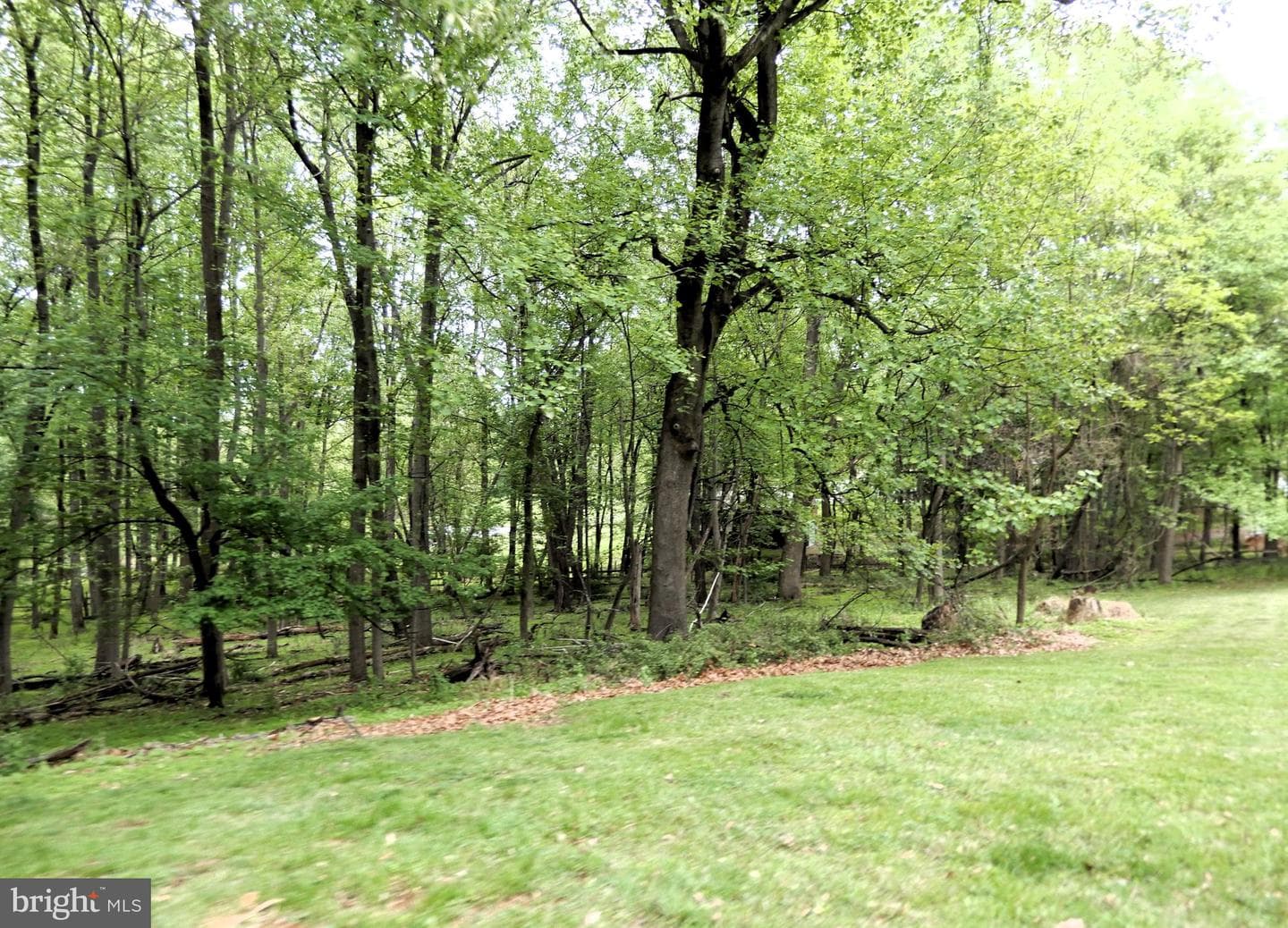 14170 Monticello Drive photo 24