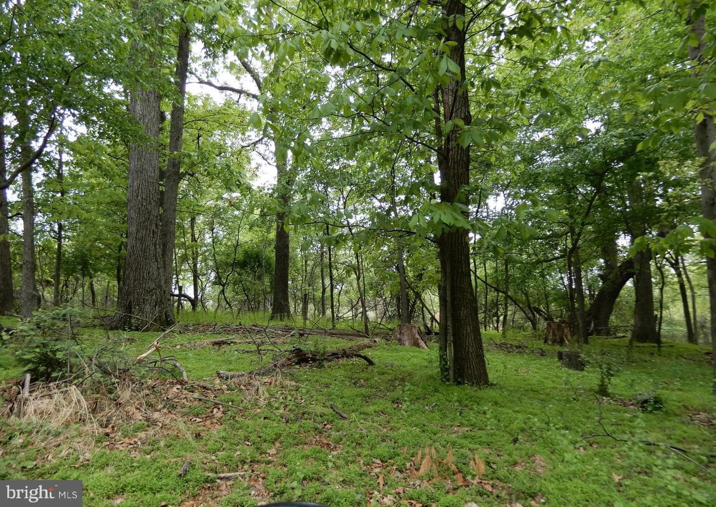 14170 Monticello Drive photo 26