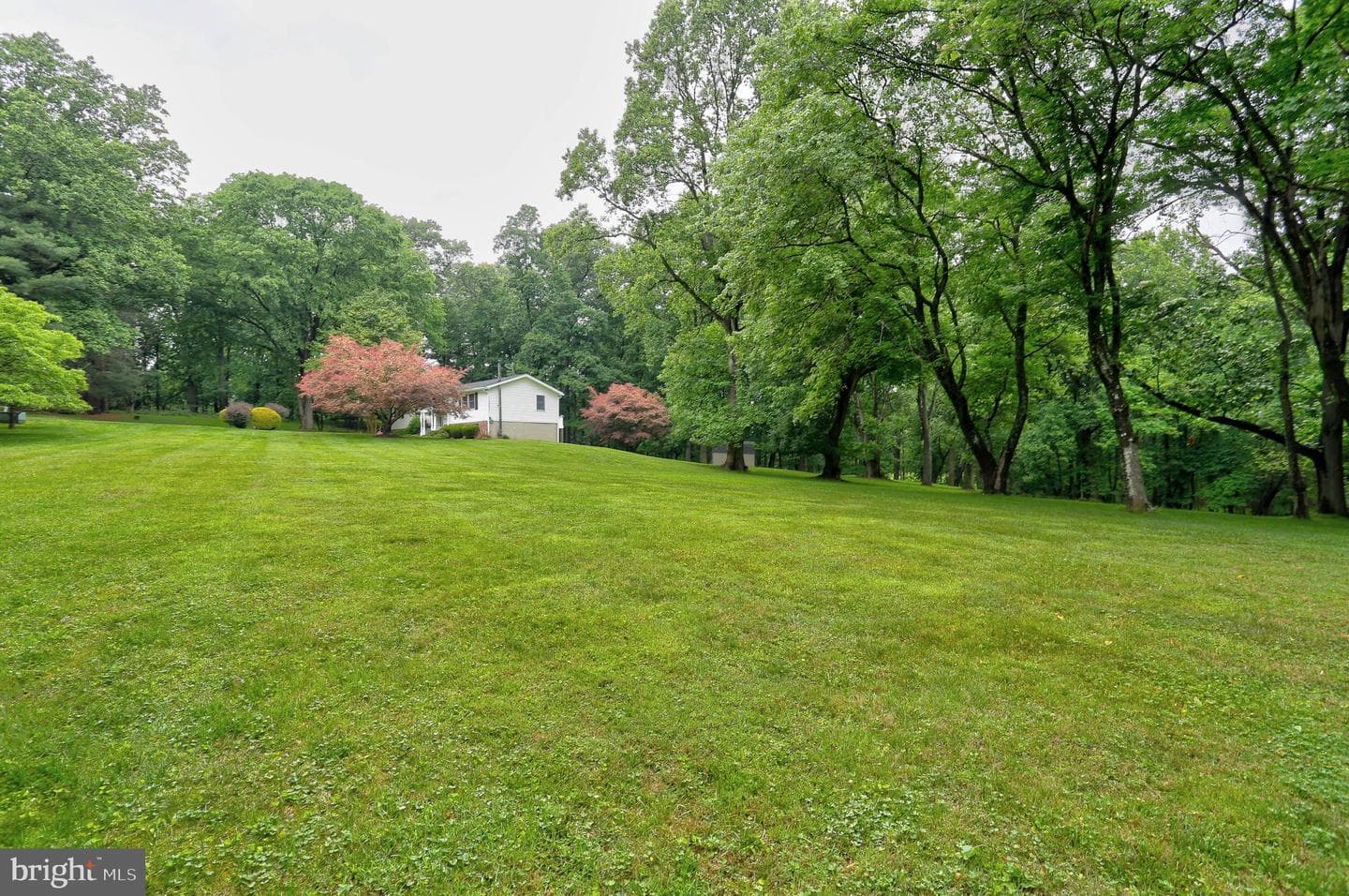 14170 Monticello Drive photo 34
