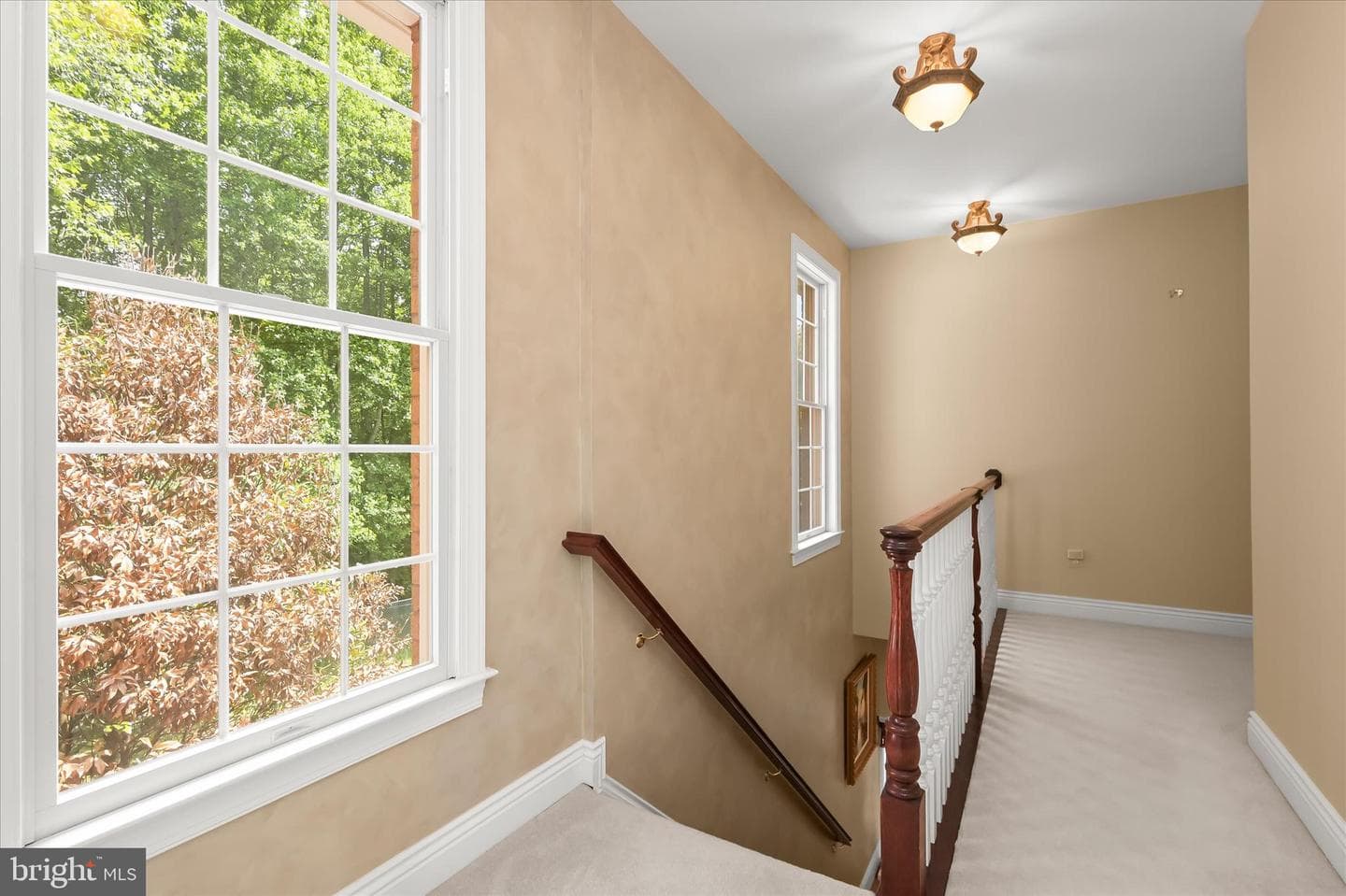 15509 Cattail Oaks photo 96