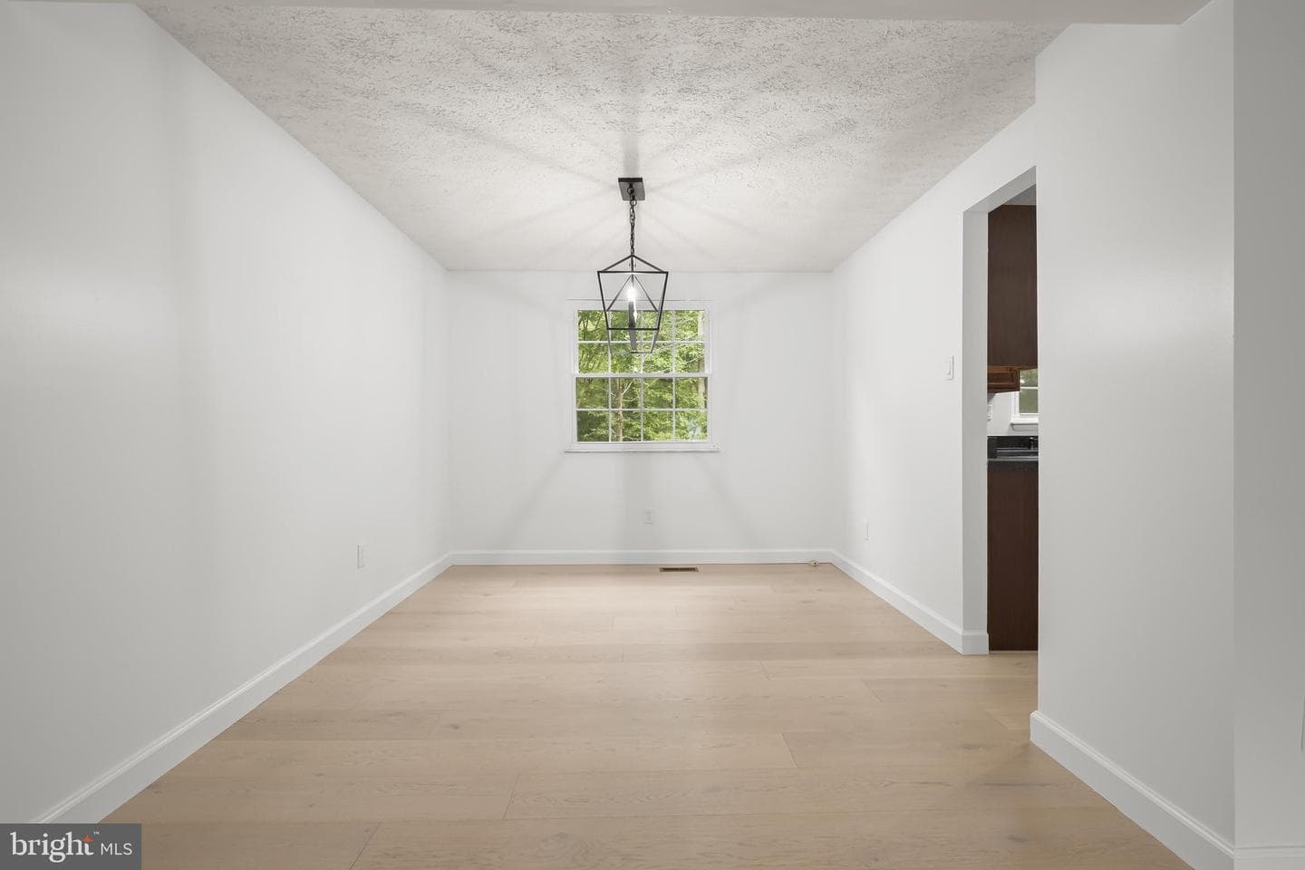 8728 Doves Fly Way photo 12