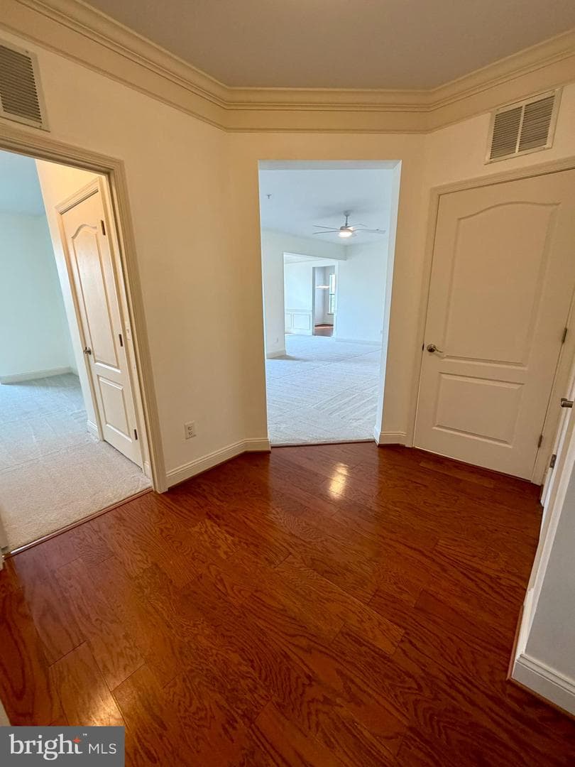 8501 Coltrane Ct # 407 photo 6