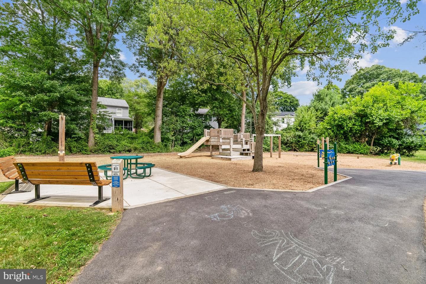 8044 Red Jacket Way photo 66