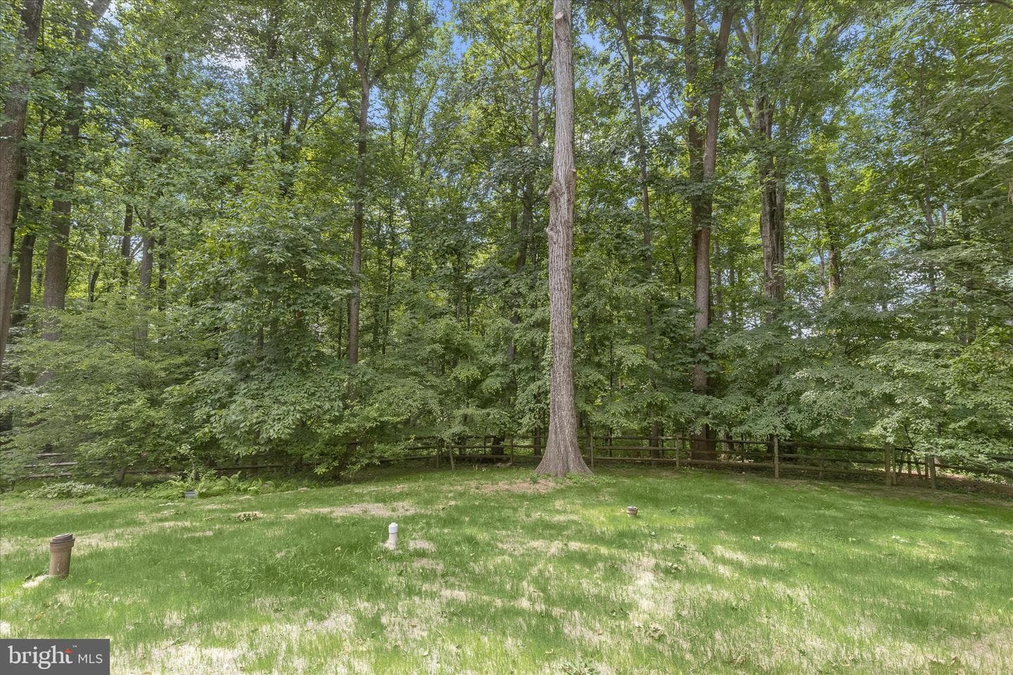 6531 River Clyde Drive photo 66