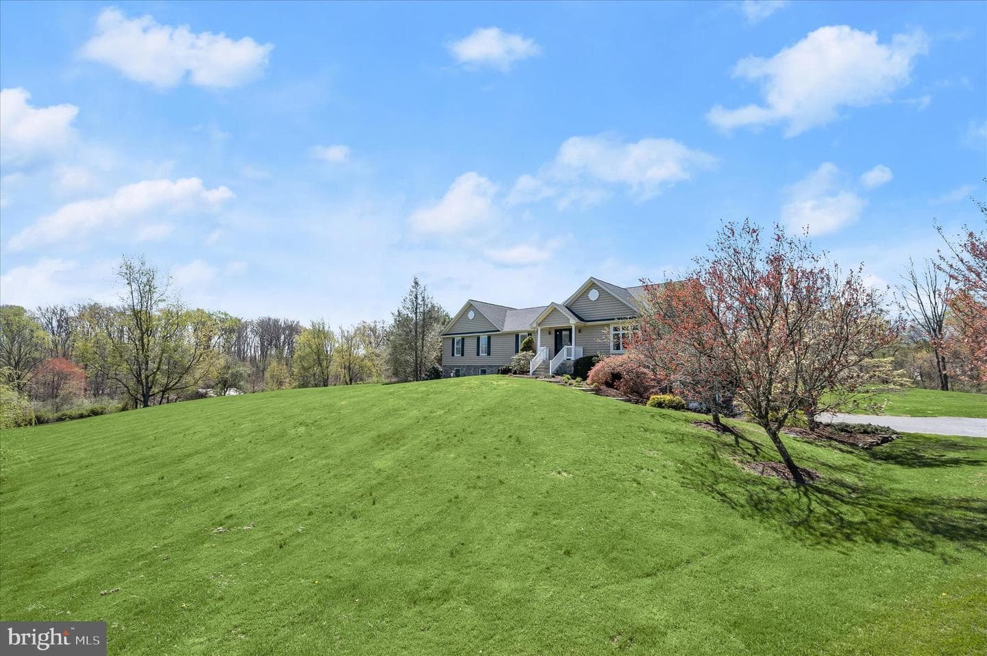 14289 Old Frederick Road photo 92