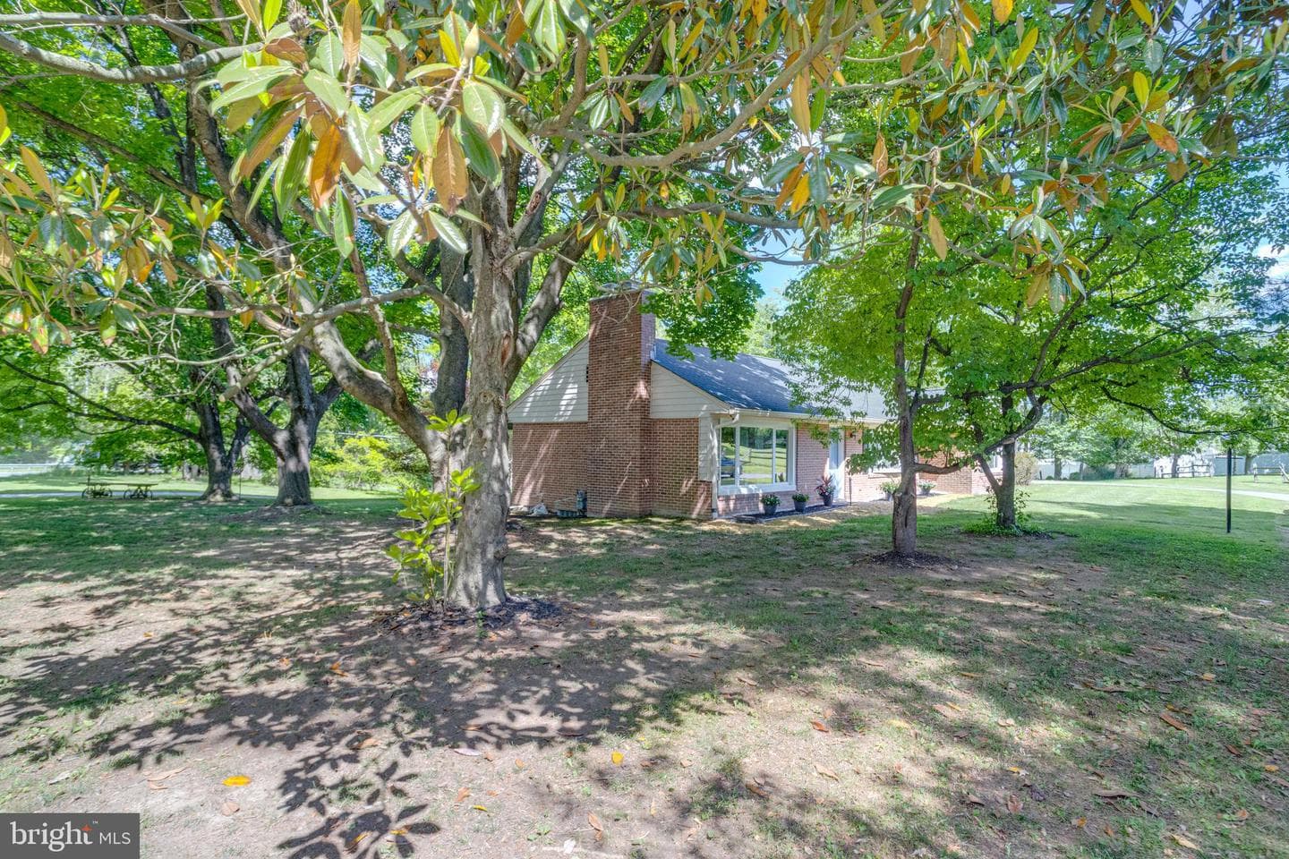 3401 Dogwood Drive photo 58