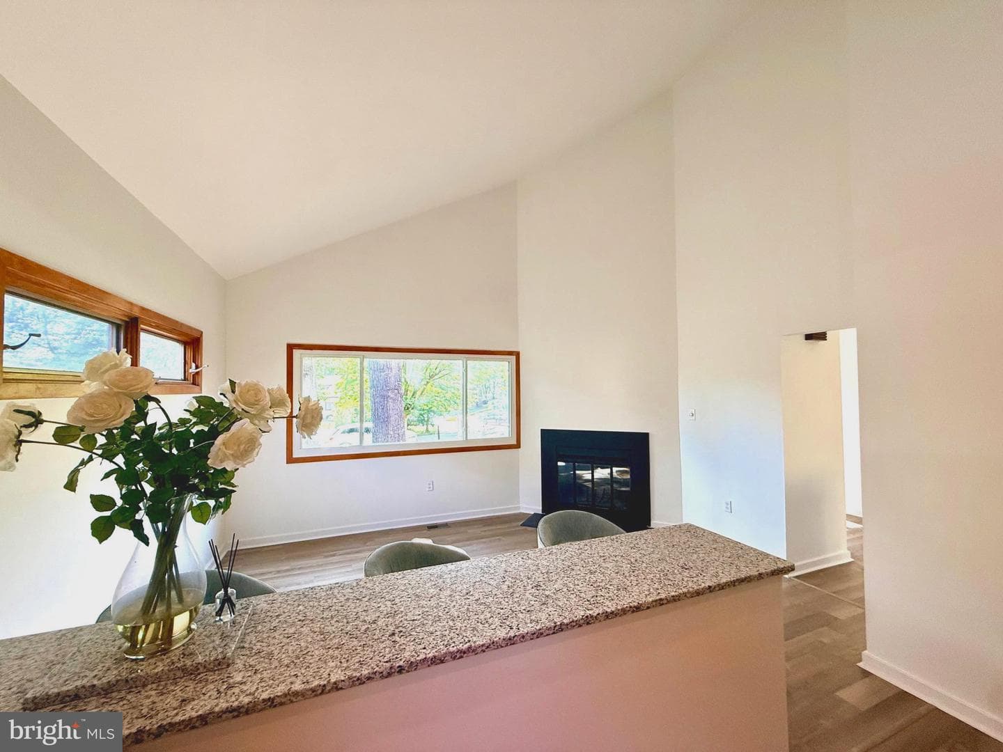 8519 Wind Dance Way photo 4