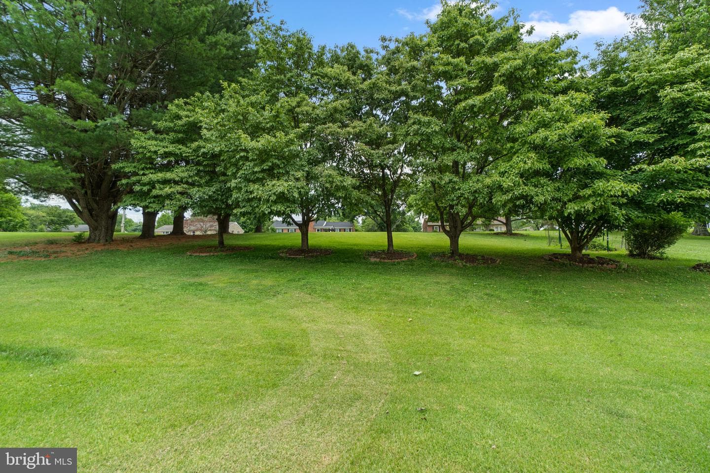 10035 Reed Lane photo 38