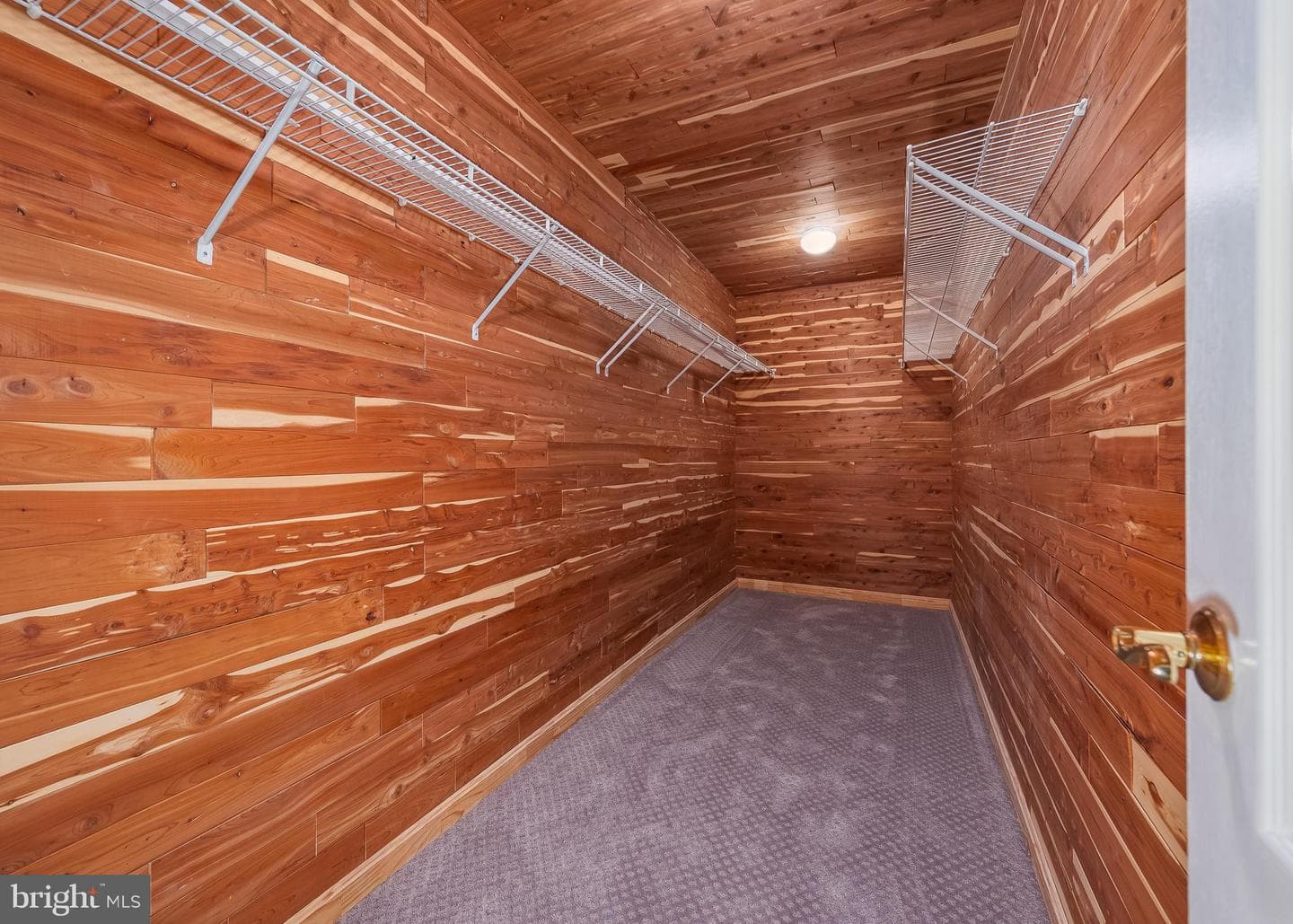13728 Bold Venture Drive photo 44