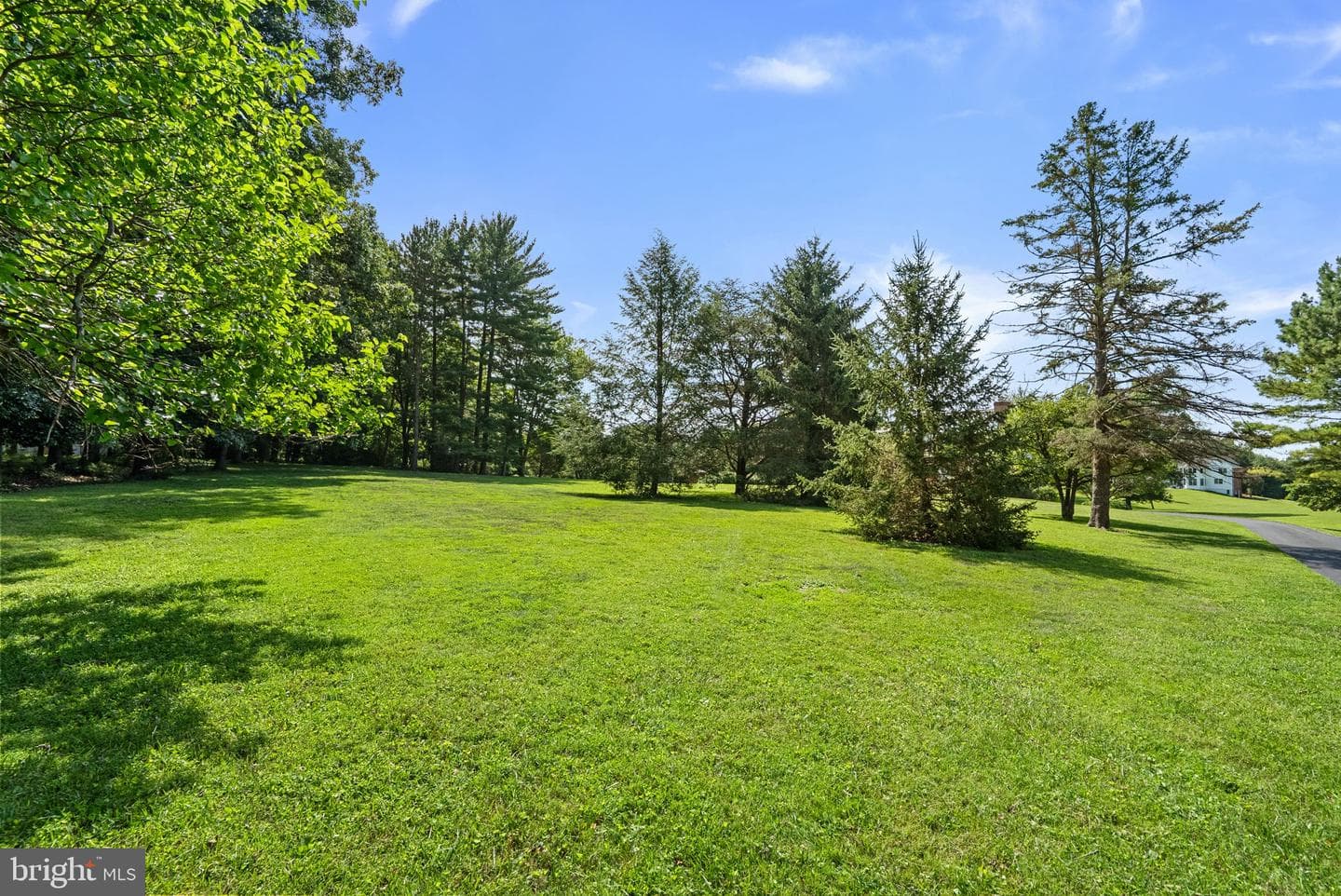 14697 Roxbury Road photo 36