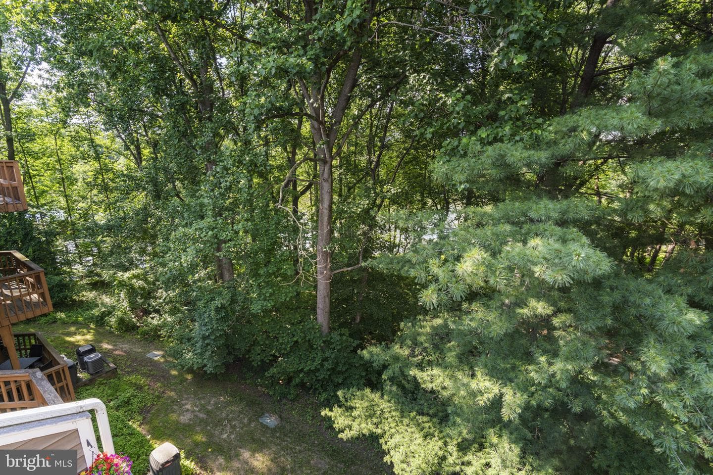 9515 Hickory Limb # 304 photo 38