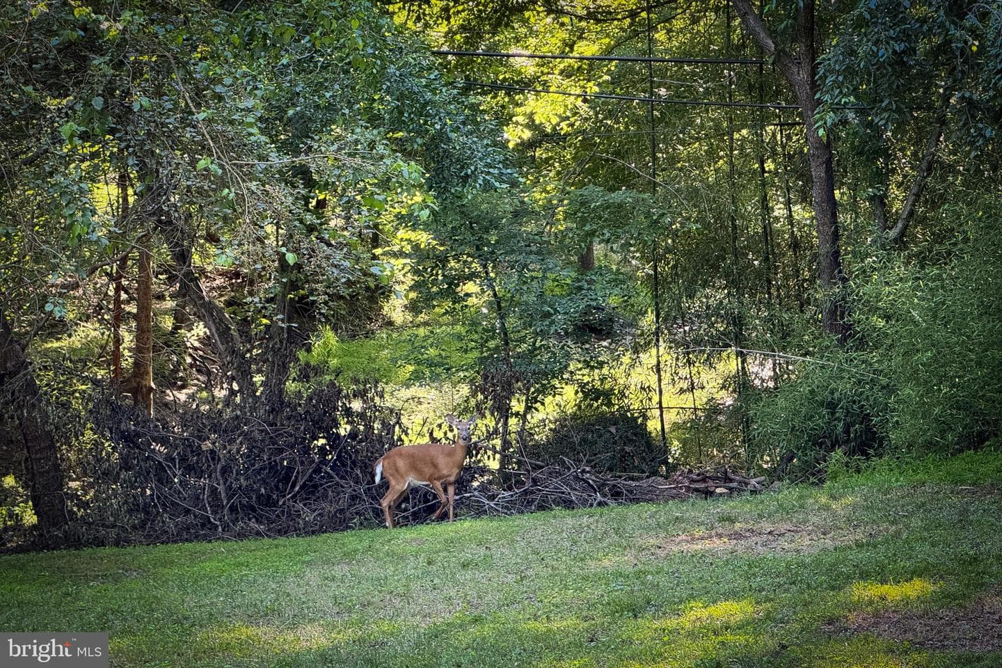 6702 Allview Drive photo 40