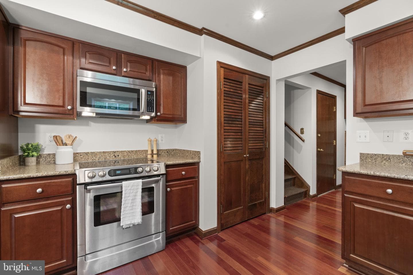 10054 Green Clover Drive photo 21