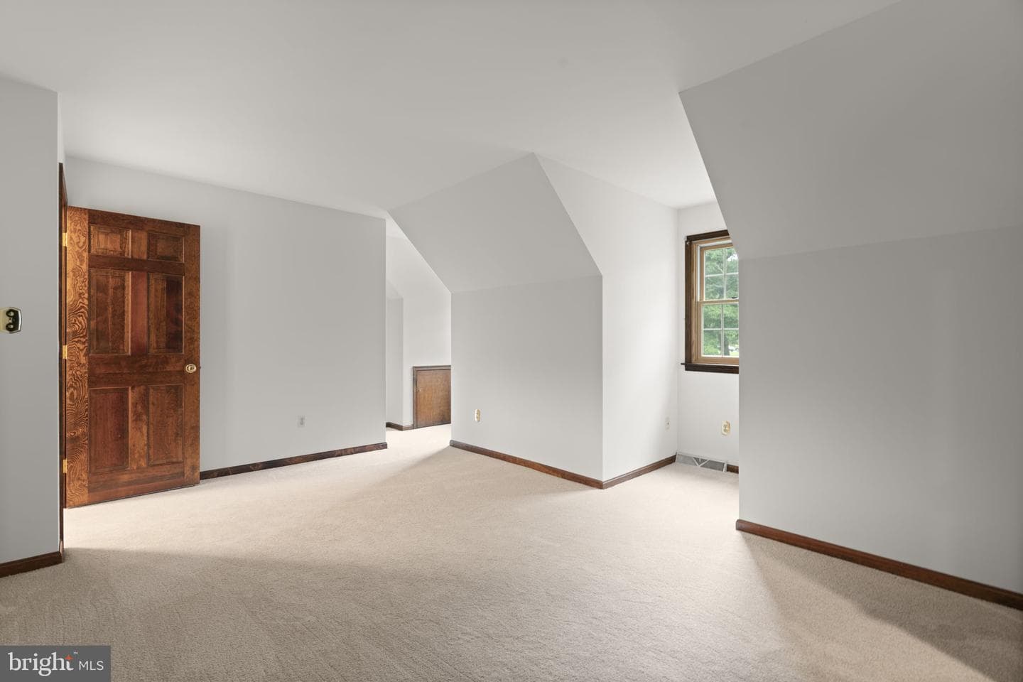 10054 Green Clover Drive photo 38