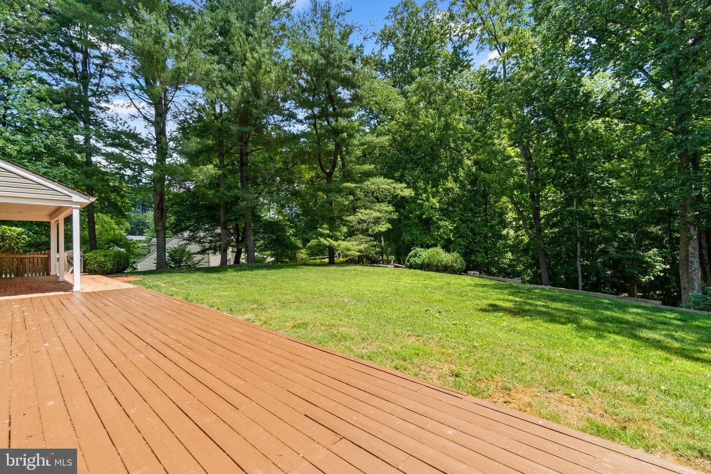 10054 Green Clover Drive photo 45