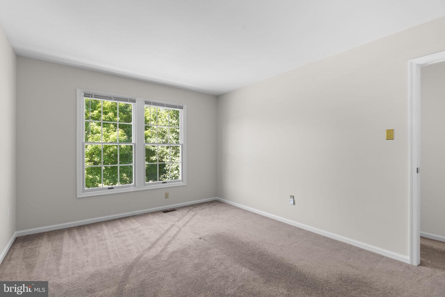 10339 Waverly Woods Drive photo 50