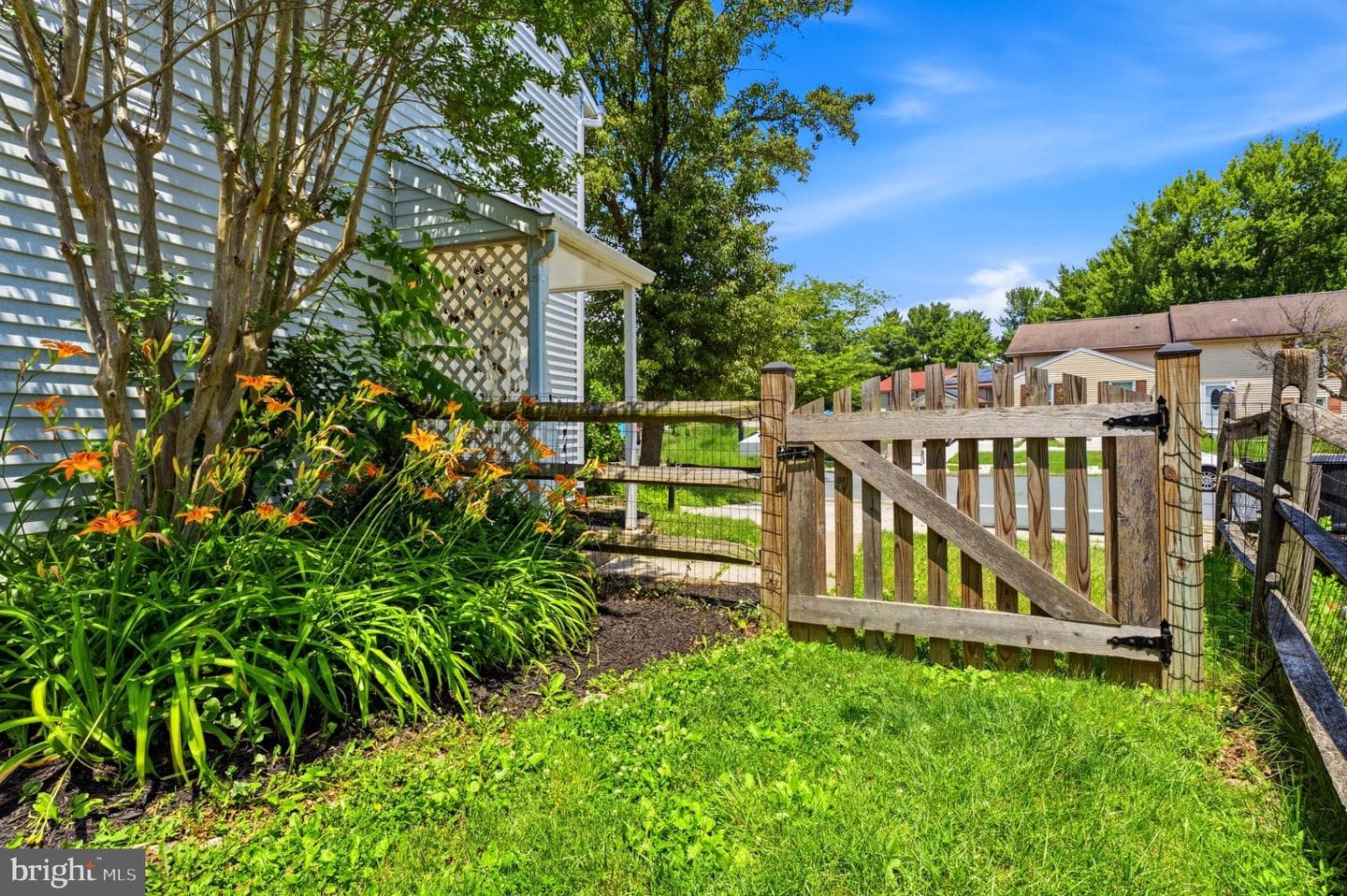 6248 Blue Dart Place photo 3