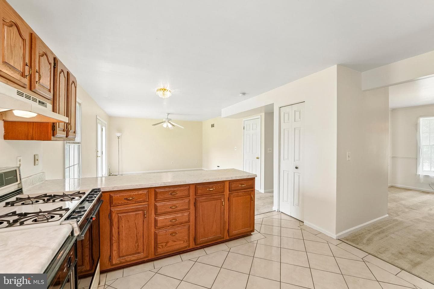 4820 Lauren Court photo 19