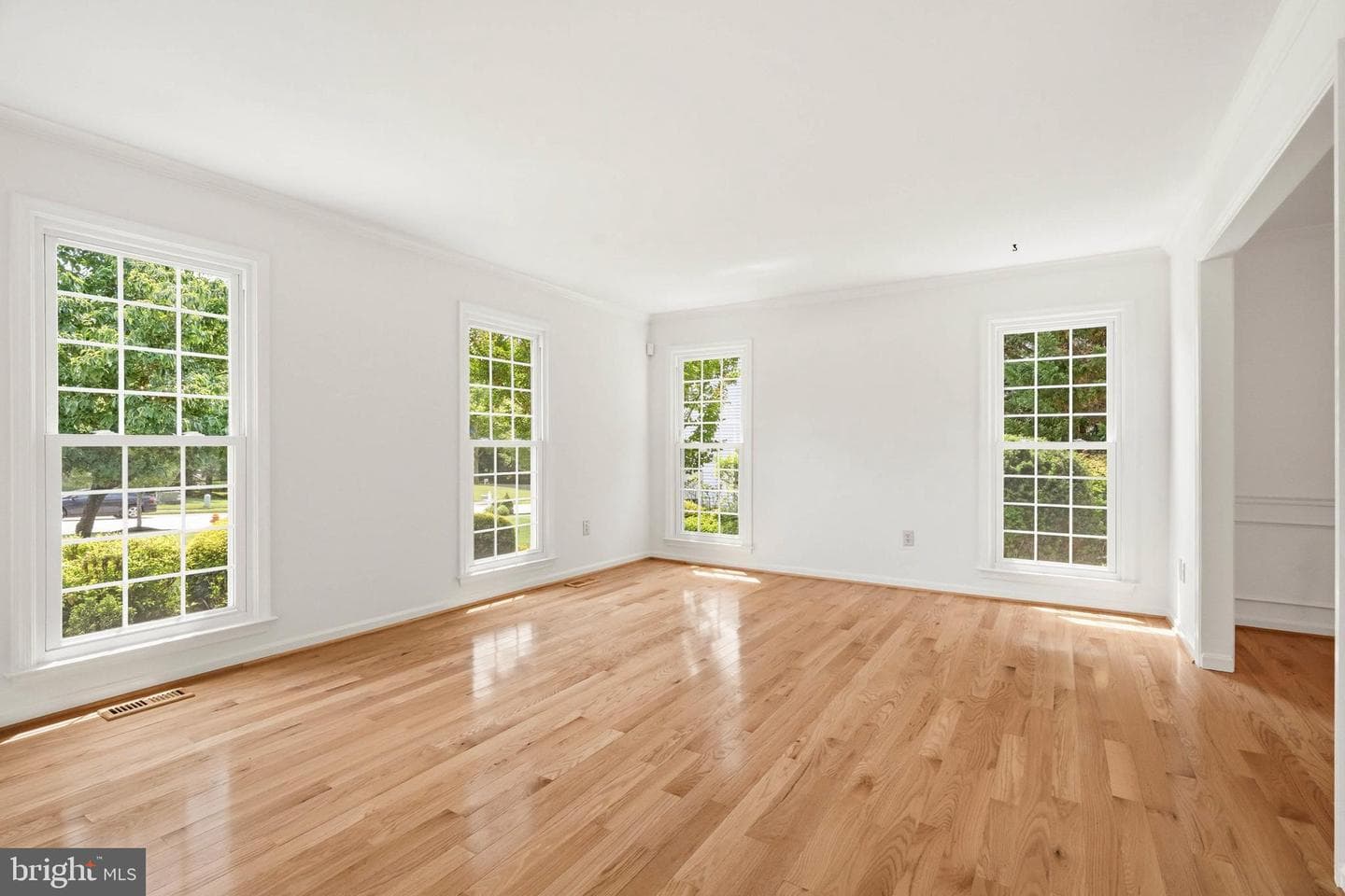 10209 Lawnmarket Court photo 9
