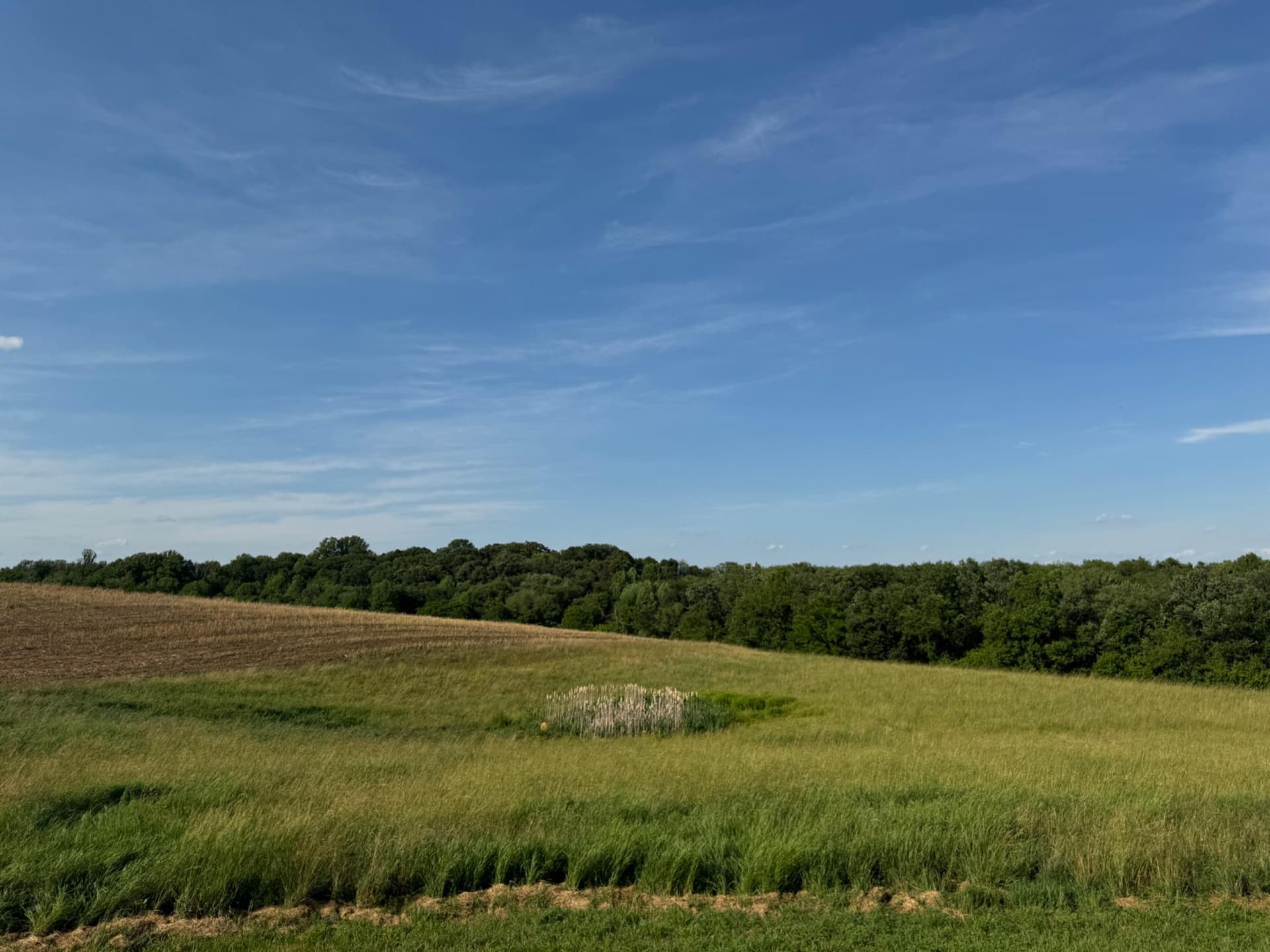 13090 Old Frederick Road photo 30