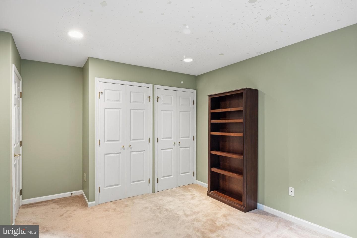 12074 Broad Meadow Lane photo 41