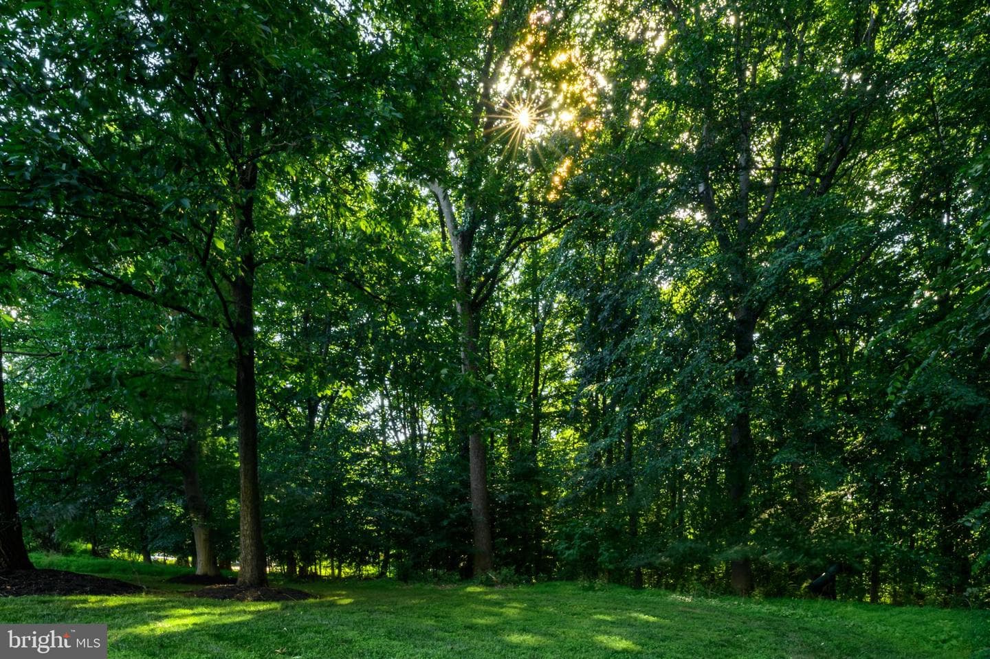 12074 Broad Meadow Lane photo 62