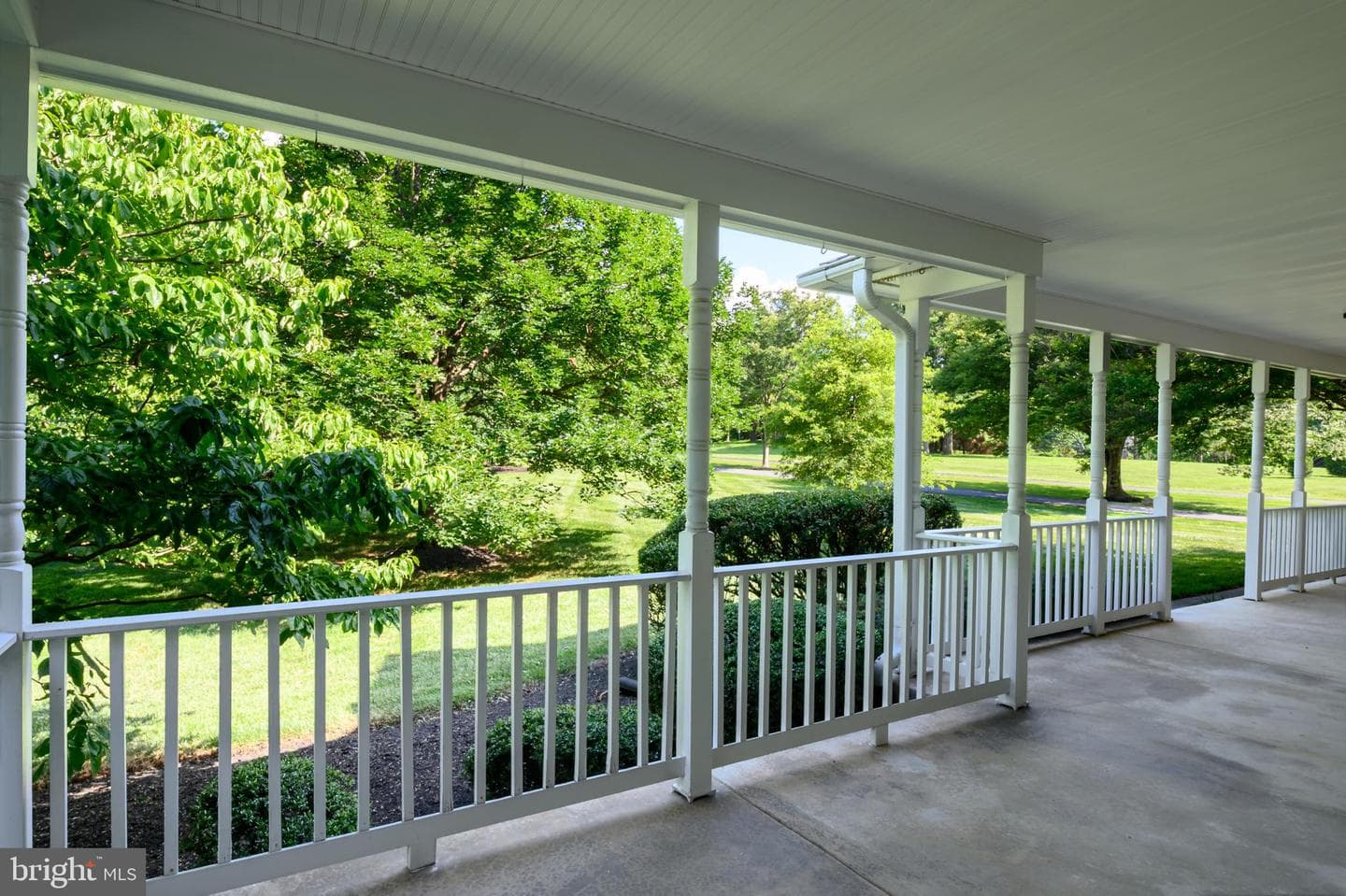 12074 Broad Meadow Lane photo 8