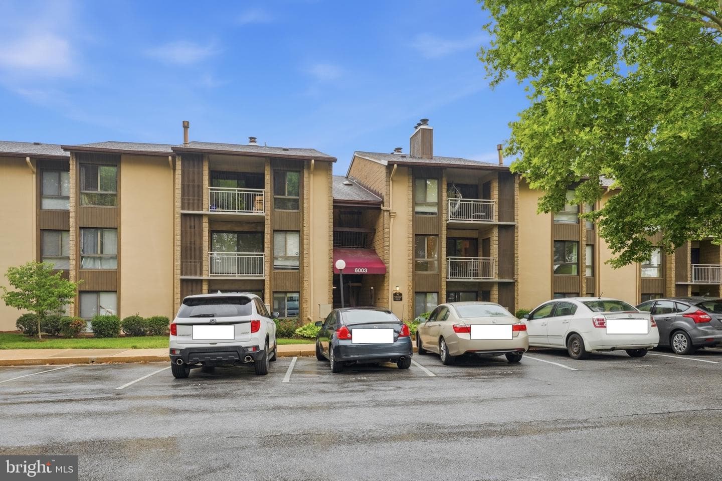 6003 Majors Lane #8 O20 photo 21