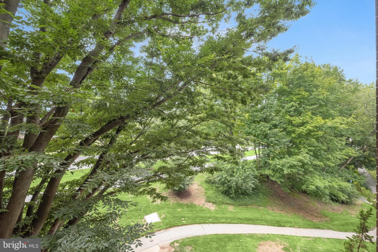 10850 Green Mountain Circle #317 photo 31