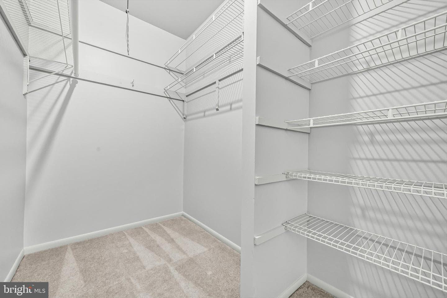 6013 Majors Lane #4 A10 photo 17