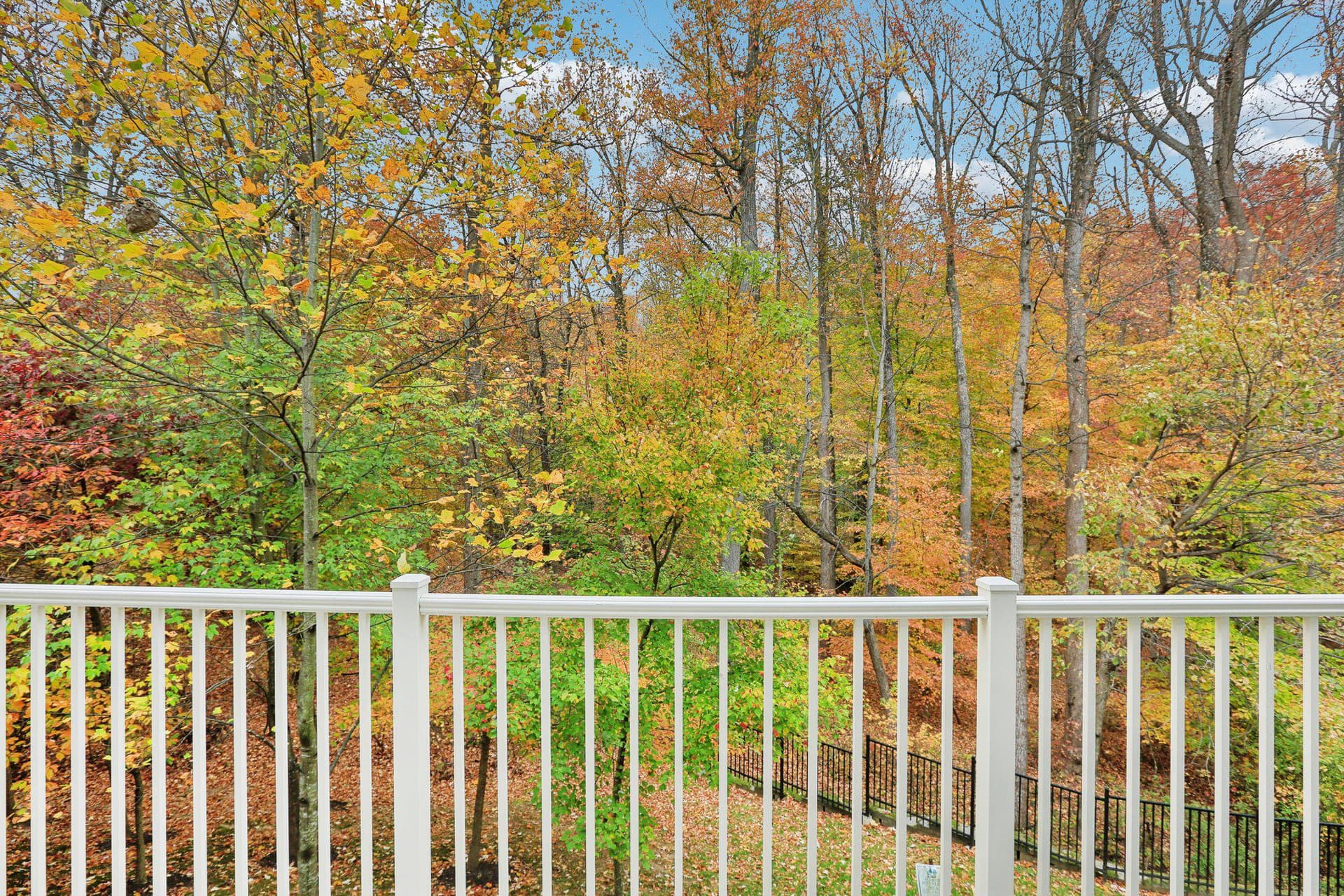 9384 Rock Ripple Lane photo 41