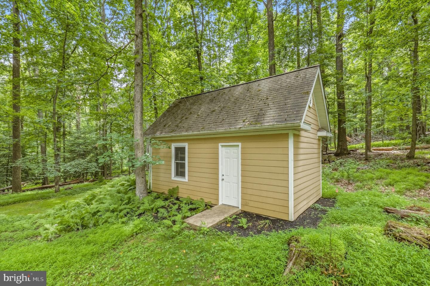 1225 Crows Foot Road photo 50