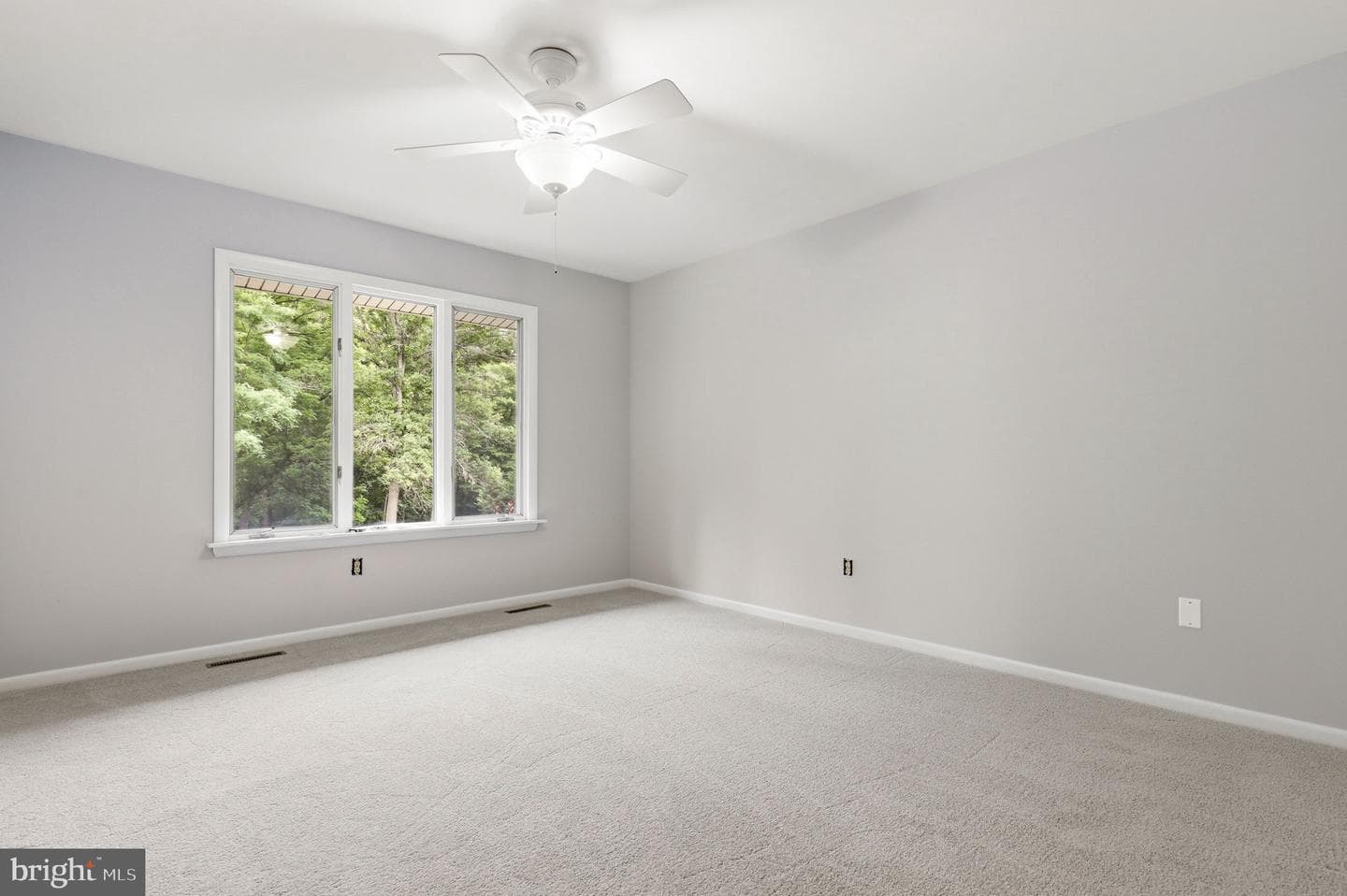 15612 Bushy Park Road photo 37