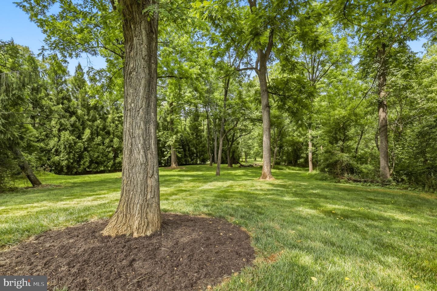 15612 Bushy Park Road photo 71