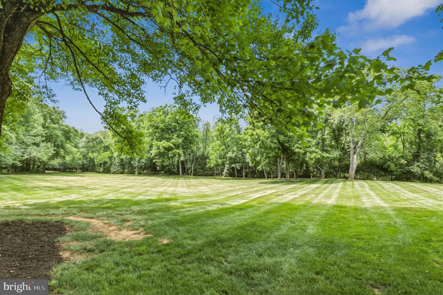 15612 Bushy Park Road photo 72