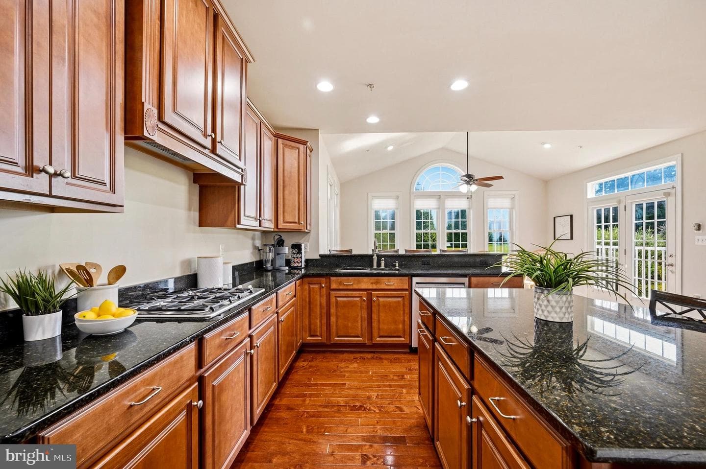 14956 Michele Drive photo 6