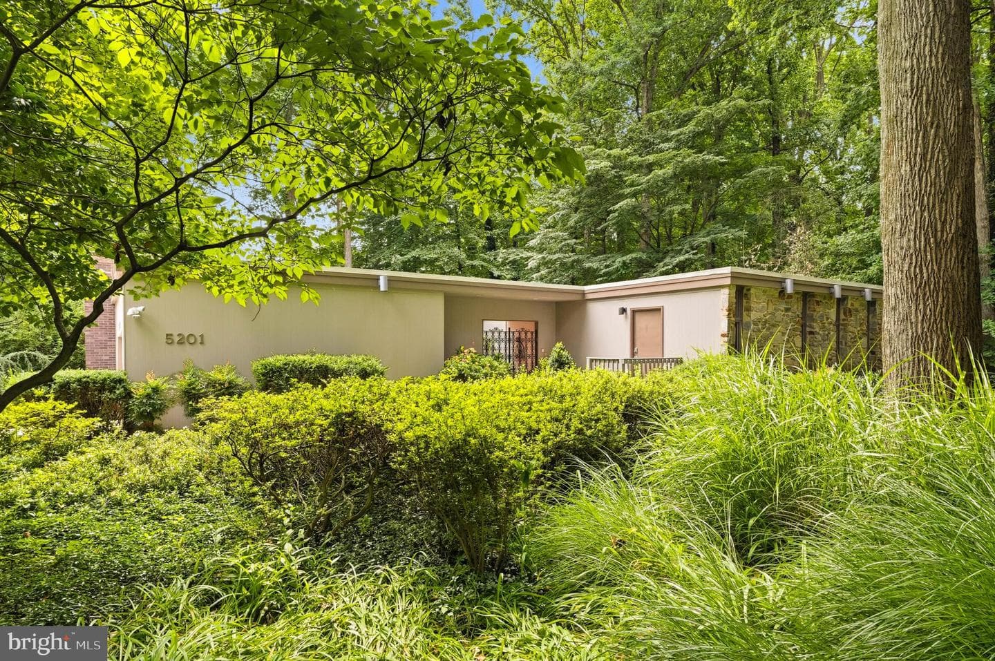 5201 Hesperus Drive photo 49