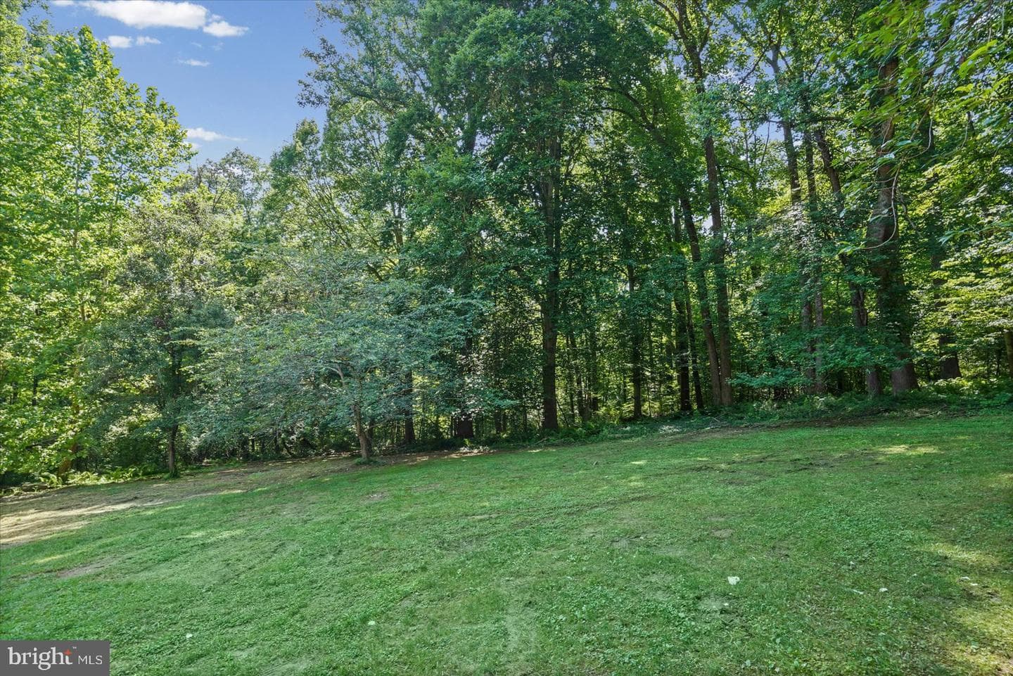 11725 Middle Patuxent Court photo 63