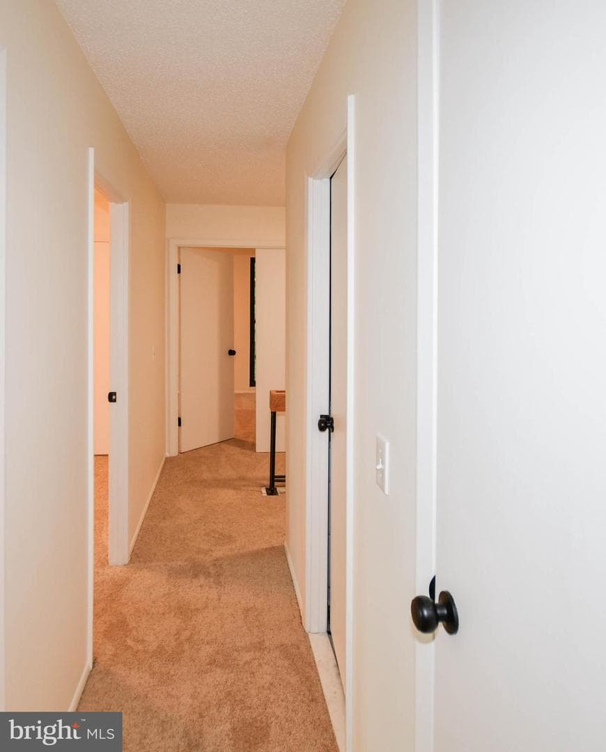 5317 Lightning View Road photo 74