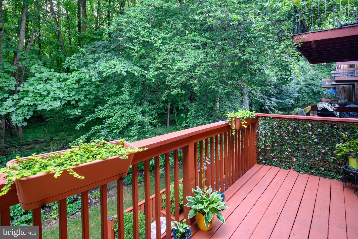 9047 Early April Way photo 30