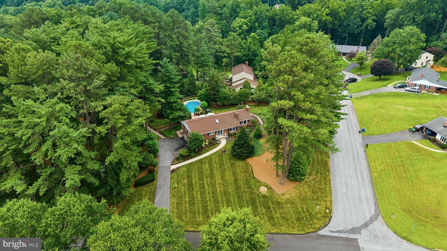 10173 Green Clover Drive photo 5