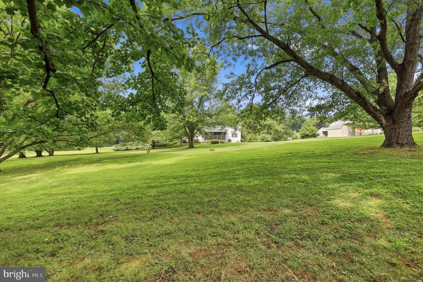 3549 Lakeway Drive photo 14