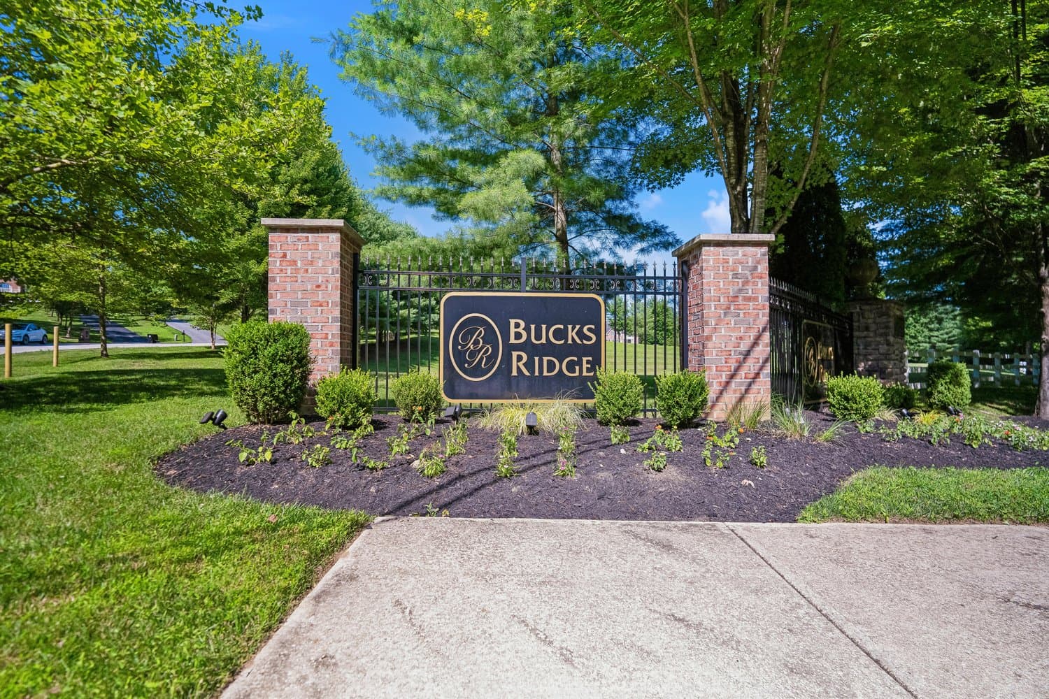 13111 Bucks Ridge Court photo 53