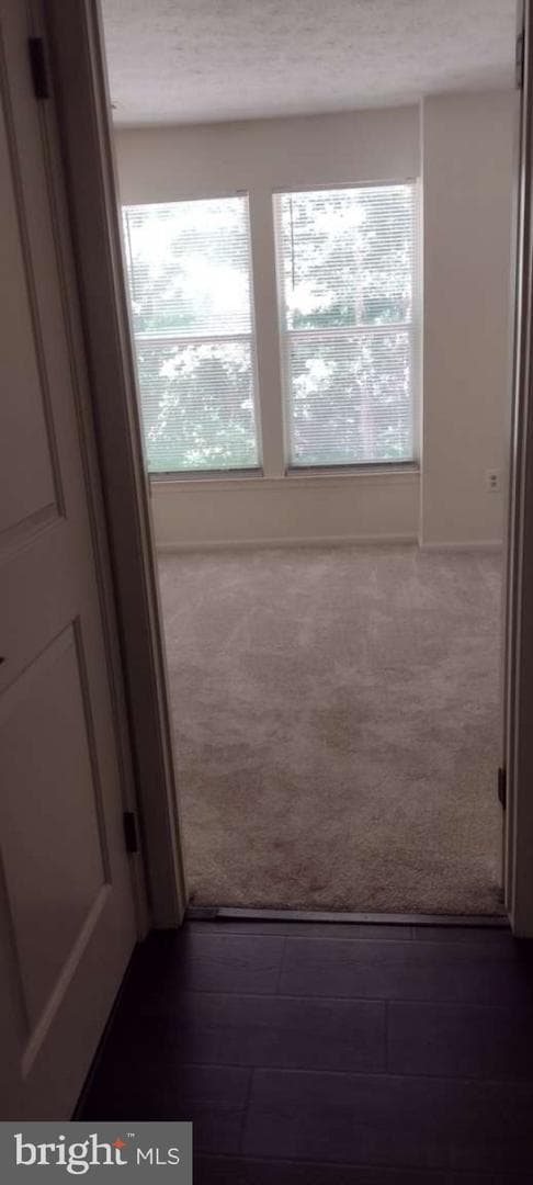11410 Little Patuxent Parkway #1007 photo 14