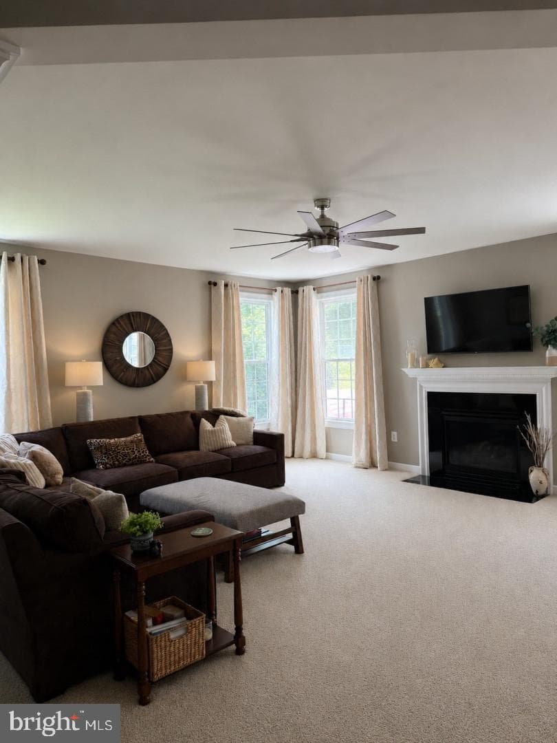 5006 Amber Meadow Vista photo 8
