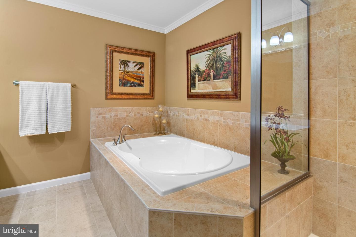 8729 Sage Brush Way #63 photo 52