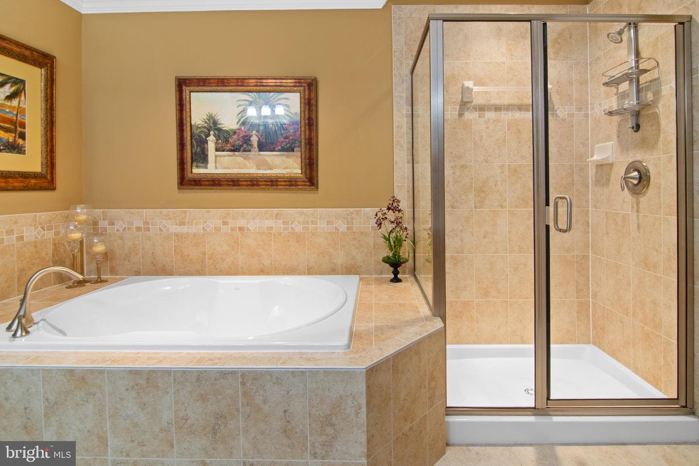 8729 Sage Brush Way #63 photo 53