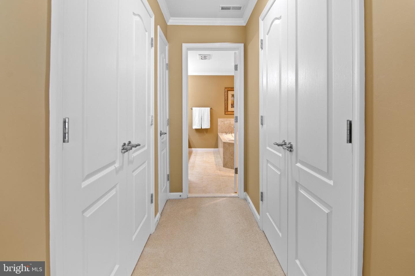 8729 Sage Brush Way #63 photo 75