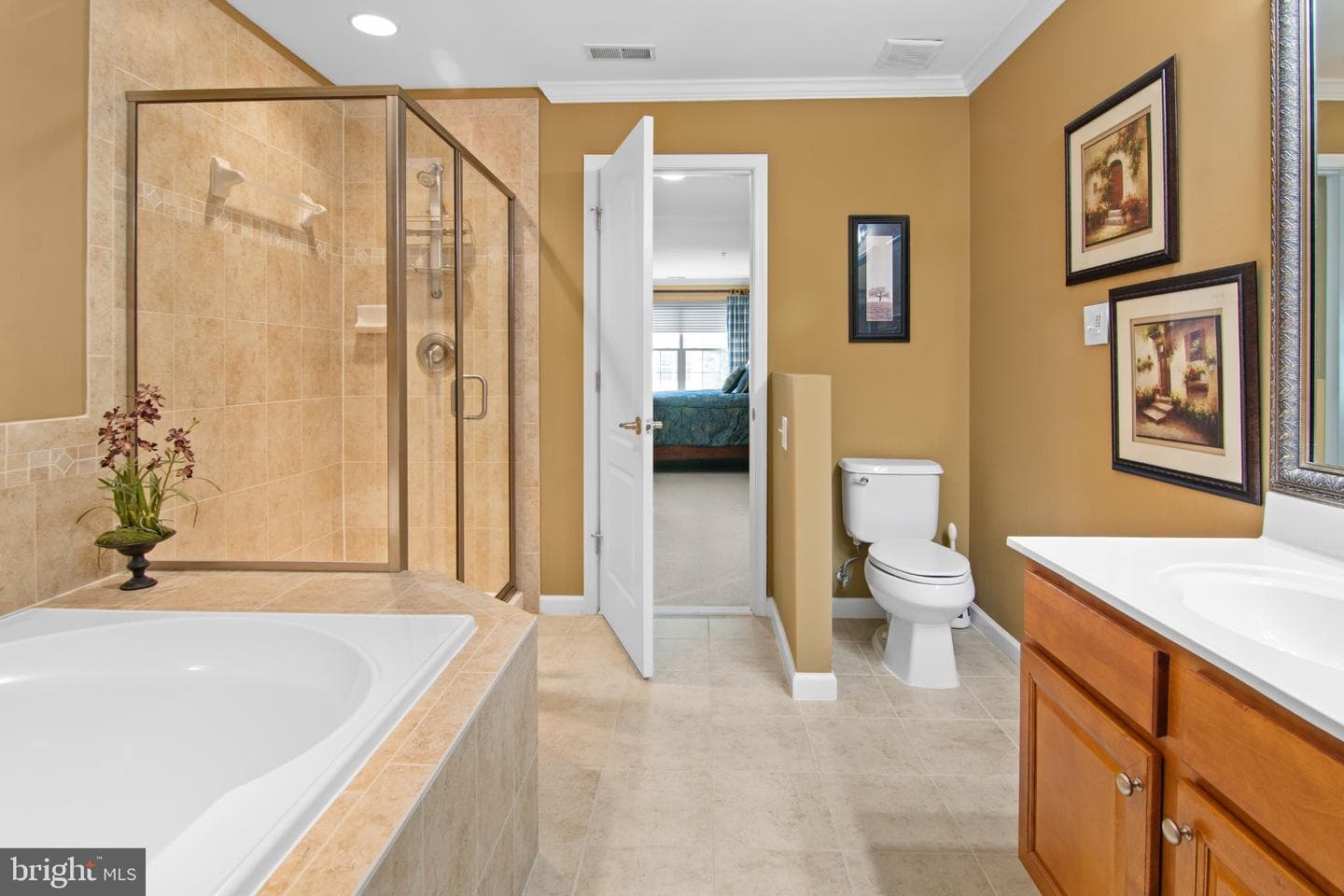 8729 Sage Brush Way #63 photo 80